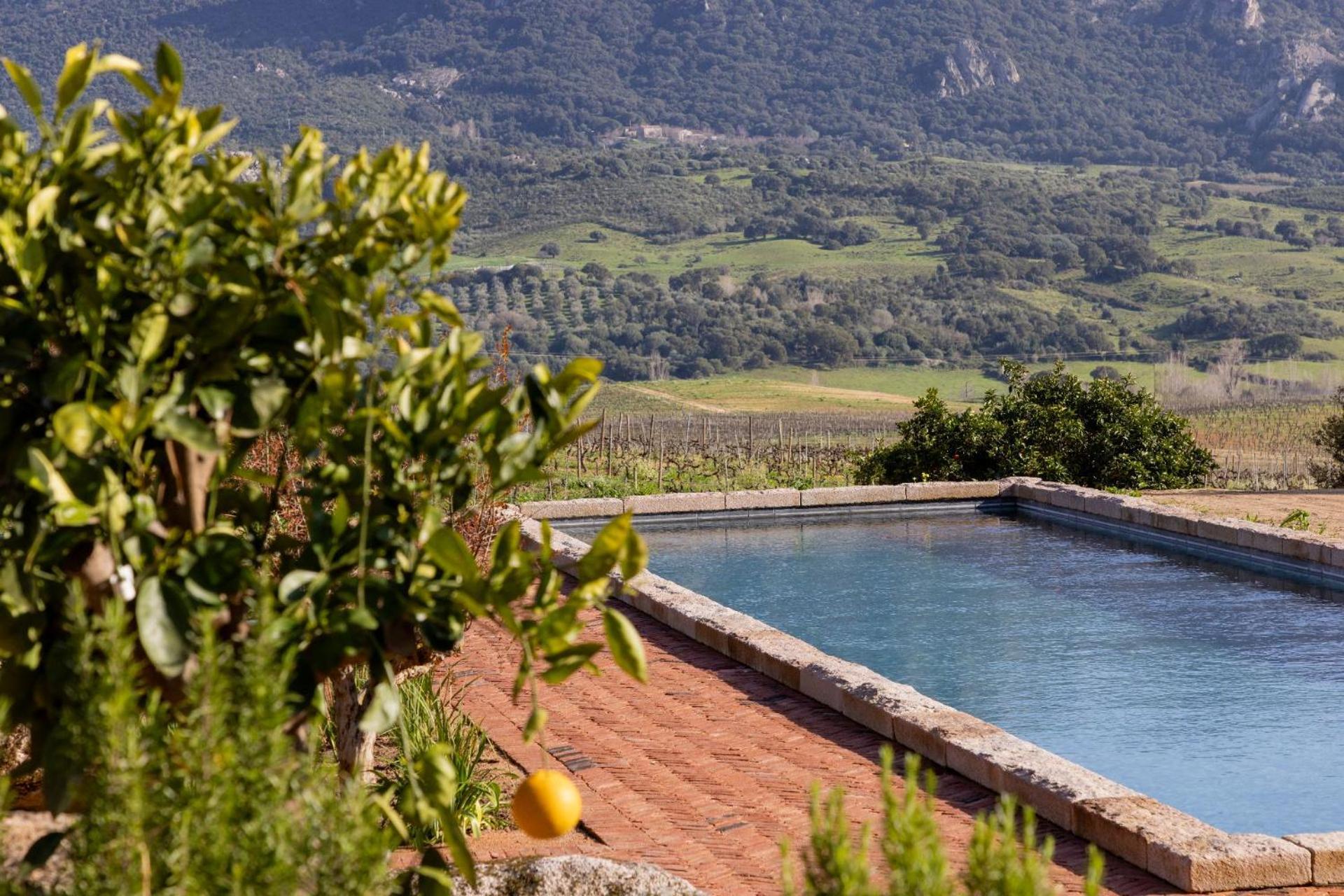 Le Hameau De Saparale Sartene  Exterior photo